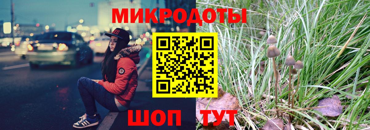 Галлюциногенные грибы Cubensis Каменка